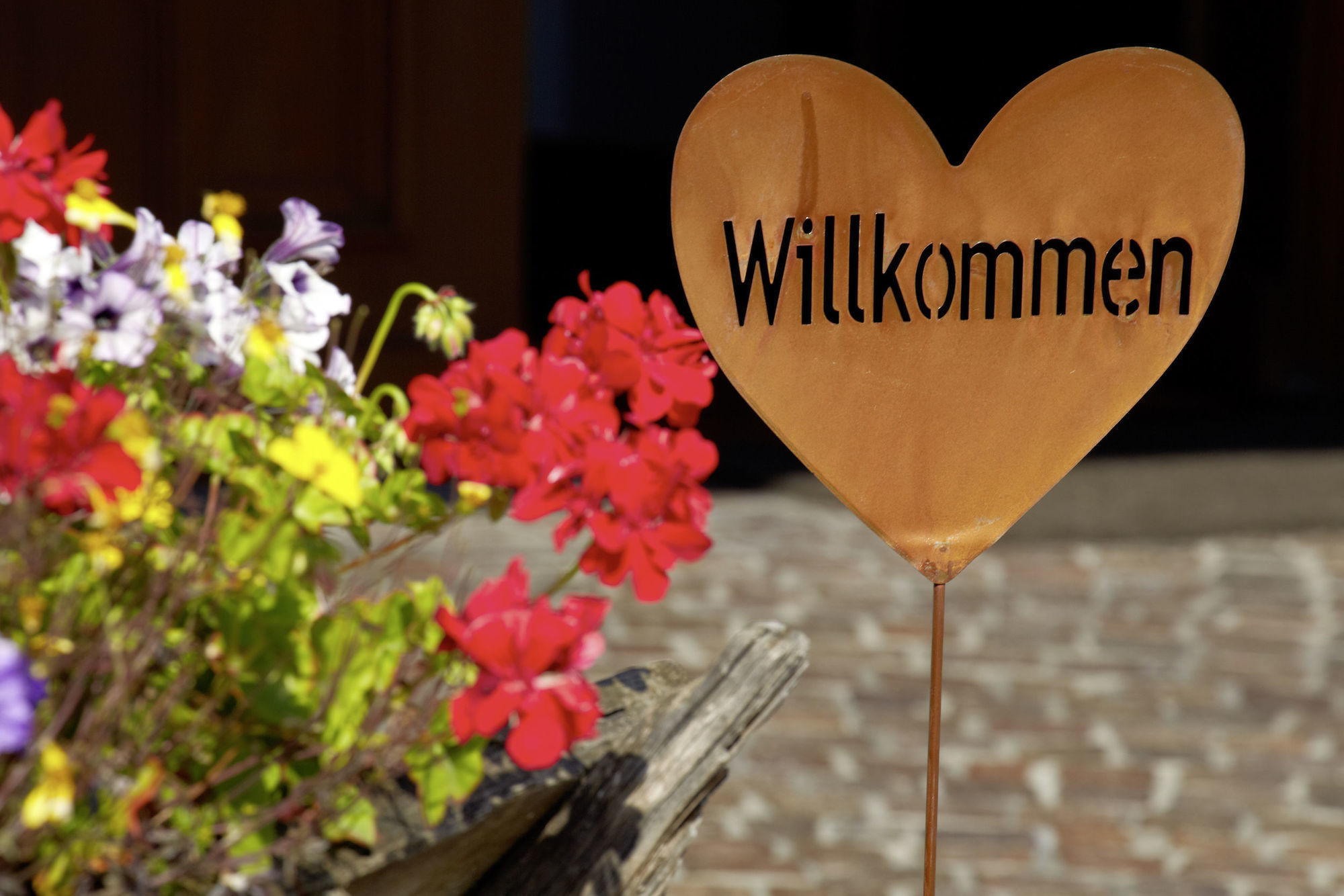 Hotel Laaxerhof 4*
